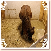 012 Indiana_20070414